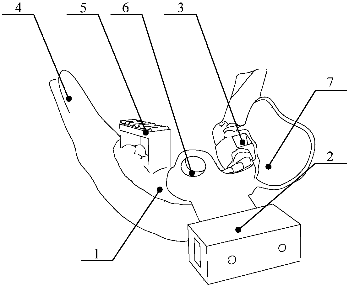 Denture plate for visual marking and manufacturing method of denture plate