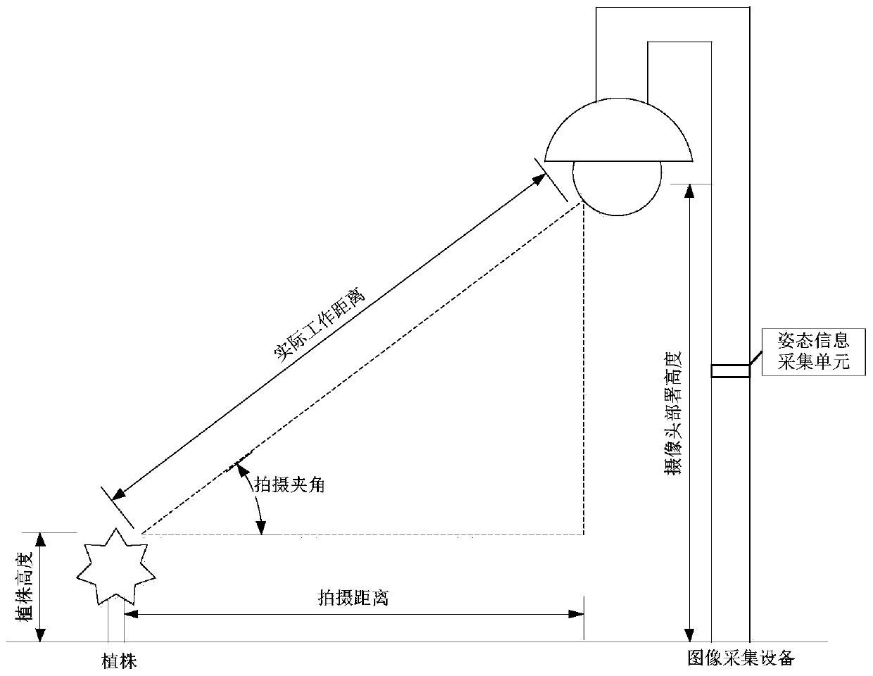 Automatic fixed-point scanning type tea garden growth image information acquisition system and method