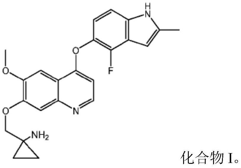 Quinoline compound for combined treatment on gastric carcinoma