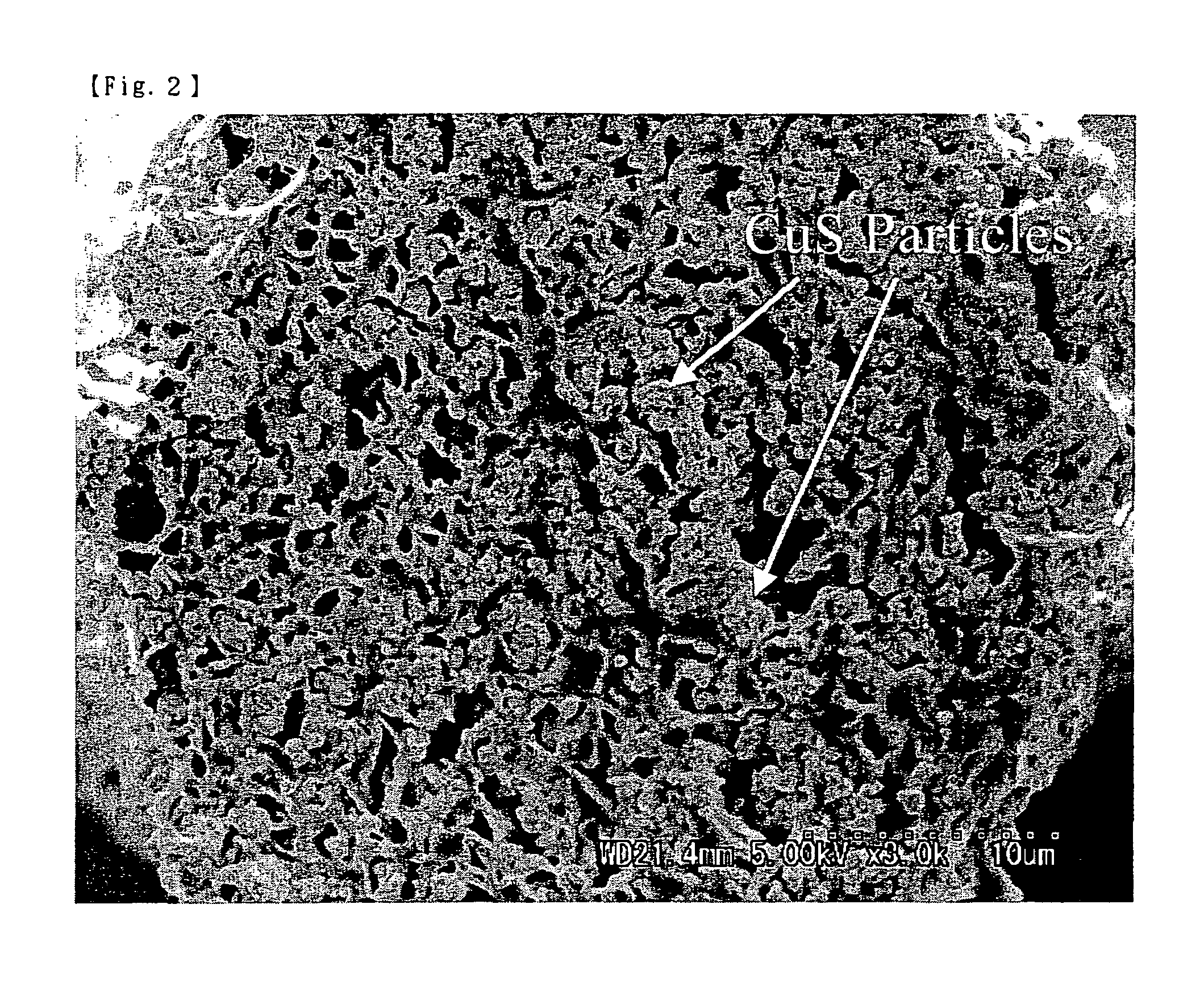 Conductive polyvinyl alcohol fiber