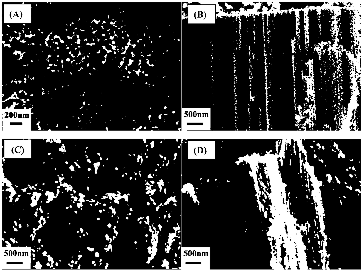 A kind of molybdenum oxide/carbon coated titanium nitride nanotube array composite material and its preparation method and application