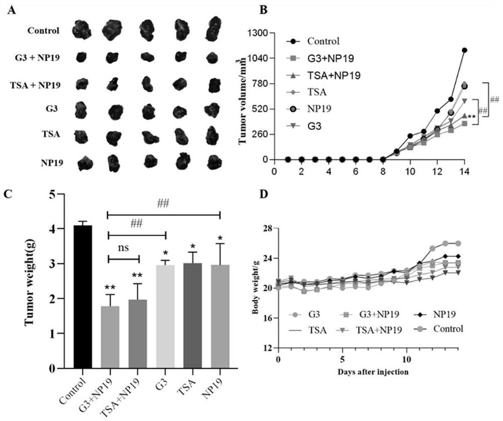 Synthesis and application of HDAC6 inhibitor based on hydroxamic acid