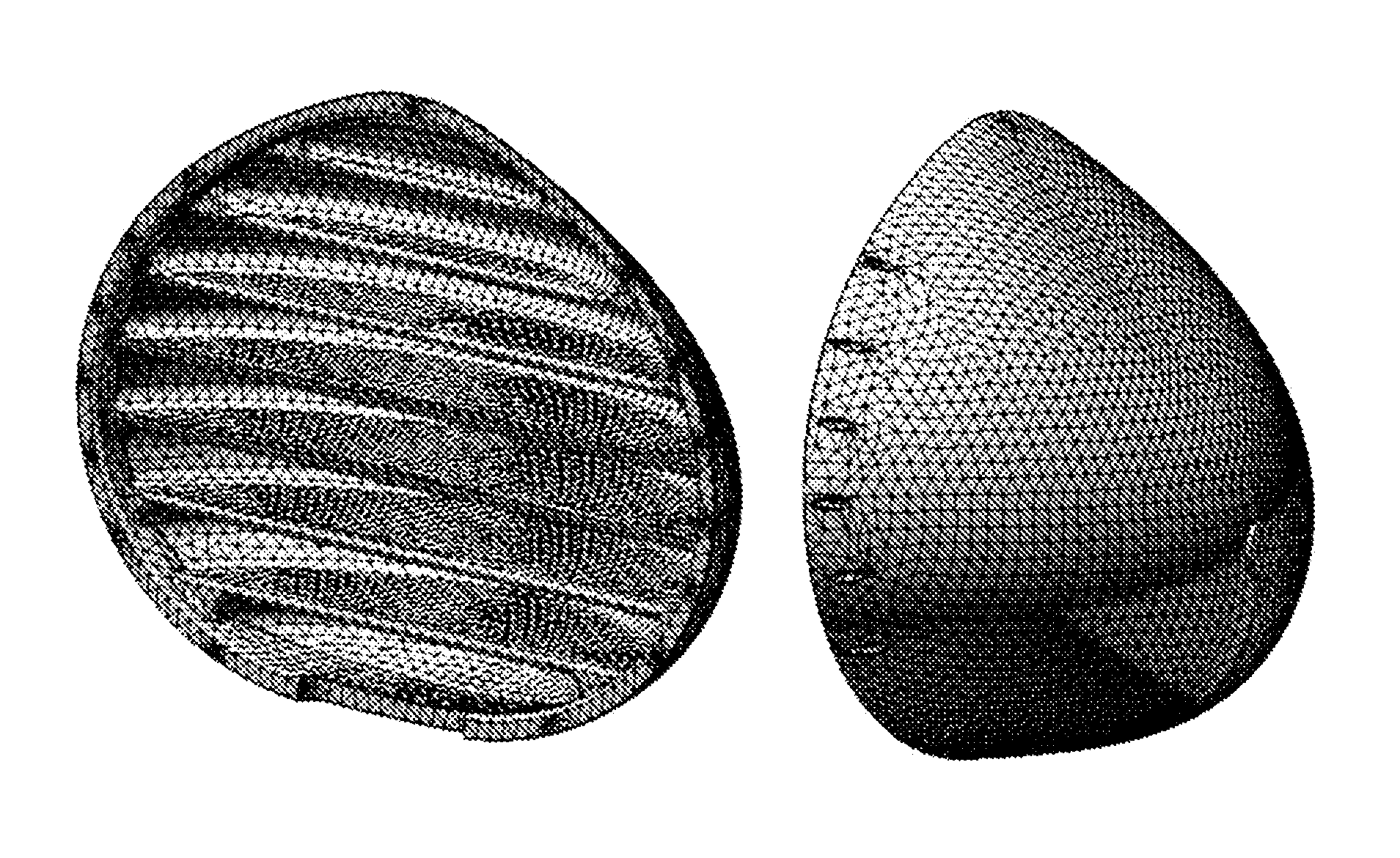 Breast Reconstruction Device and Methods