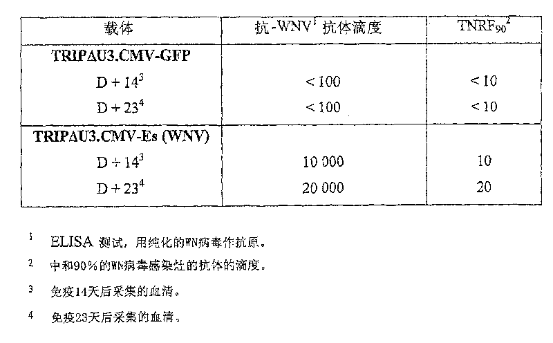 Recombinant lentiviral vector for expression of a flaviviridae protein and applications thereof as a vaccine