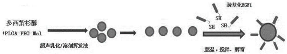 Docetaxel drug-loading nanoparticles, preparation method and application thereof