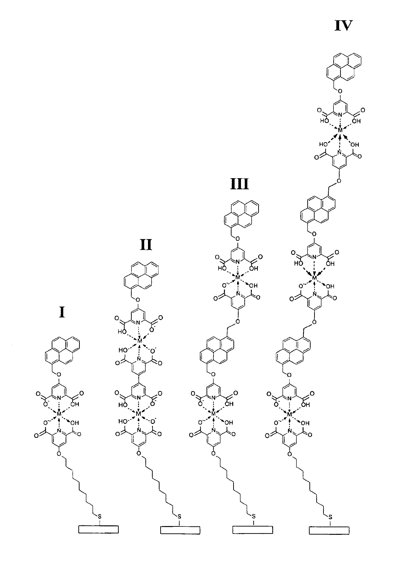 Non-covalent assembly of multilayer thin film supramolecular structures