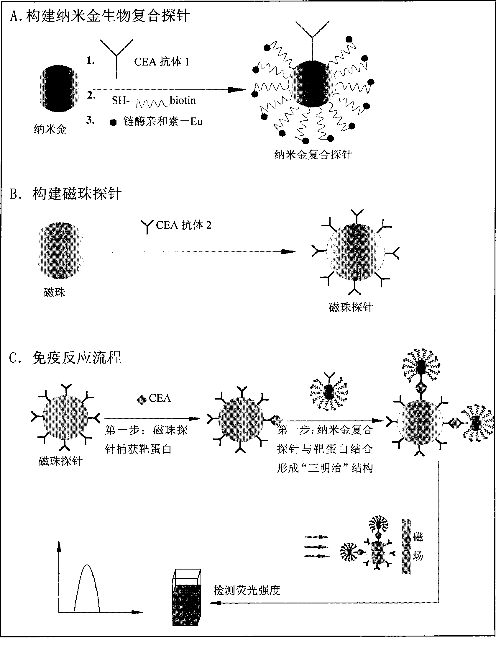 Nano gold biological composite probe, detection method and application thereof