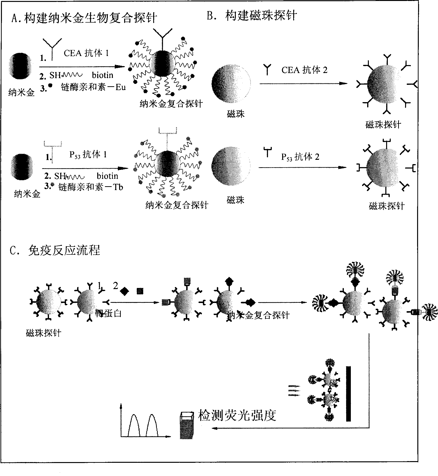 Nano gold biological composite probe, detection method and application thereof