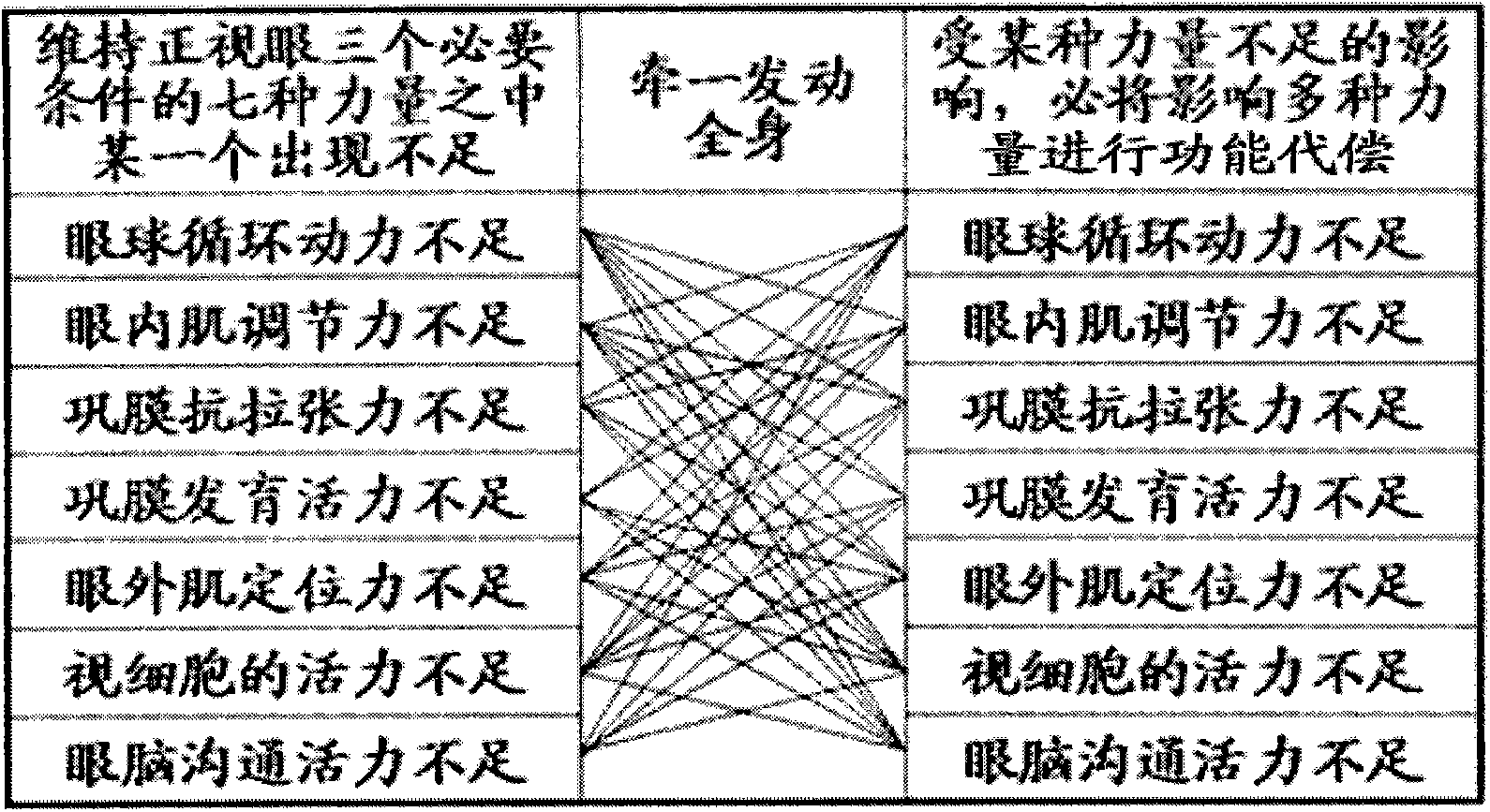 Visual training system suitable for being used together with handheld device