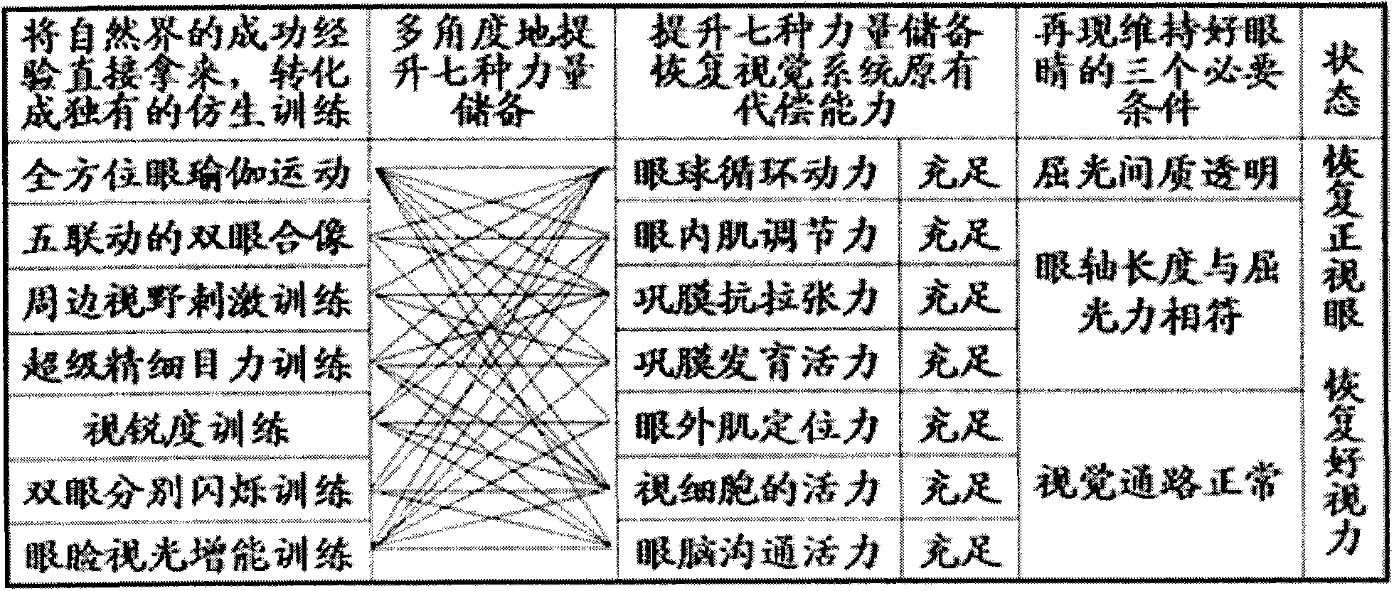 Visual training system suitable for being used together with handheld device