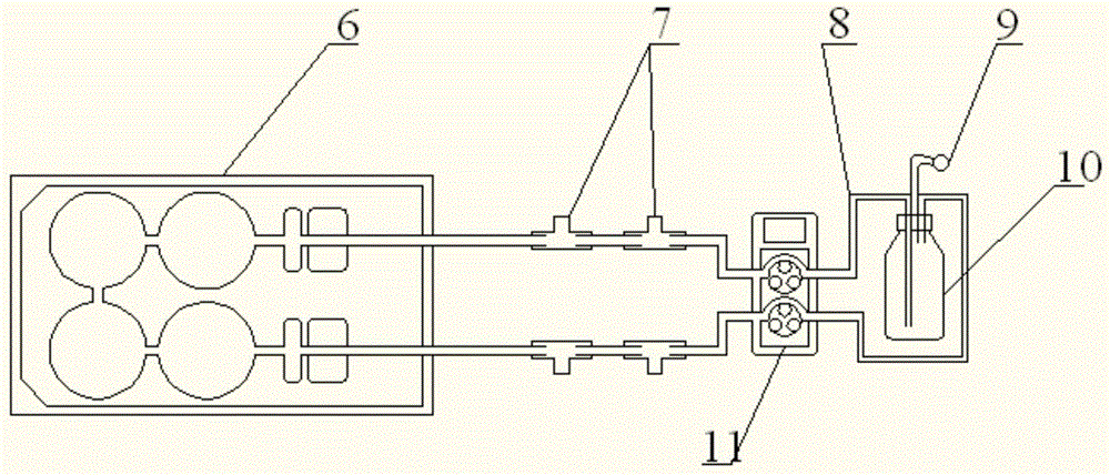 In-vitro separation culture method for hippocampal neurons of adult rat