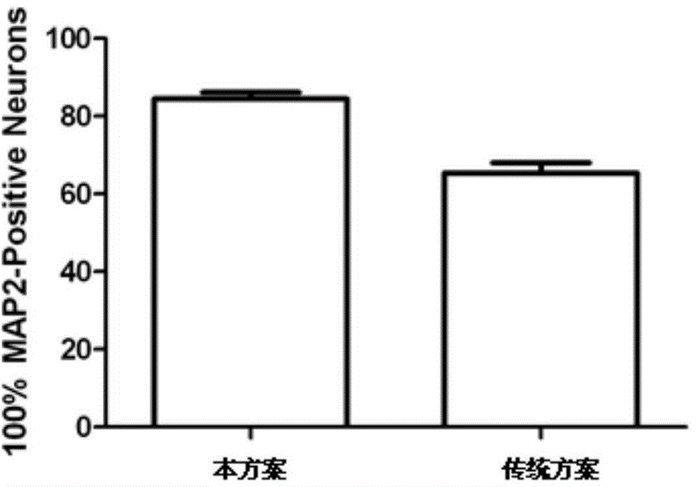 In-vitro separation culture method for hippocampal neurons of adult rat