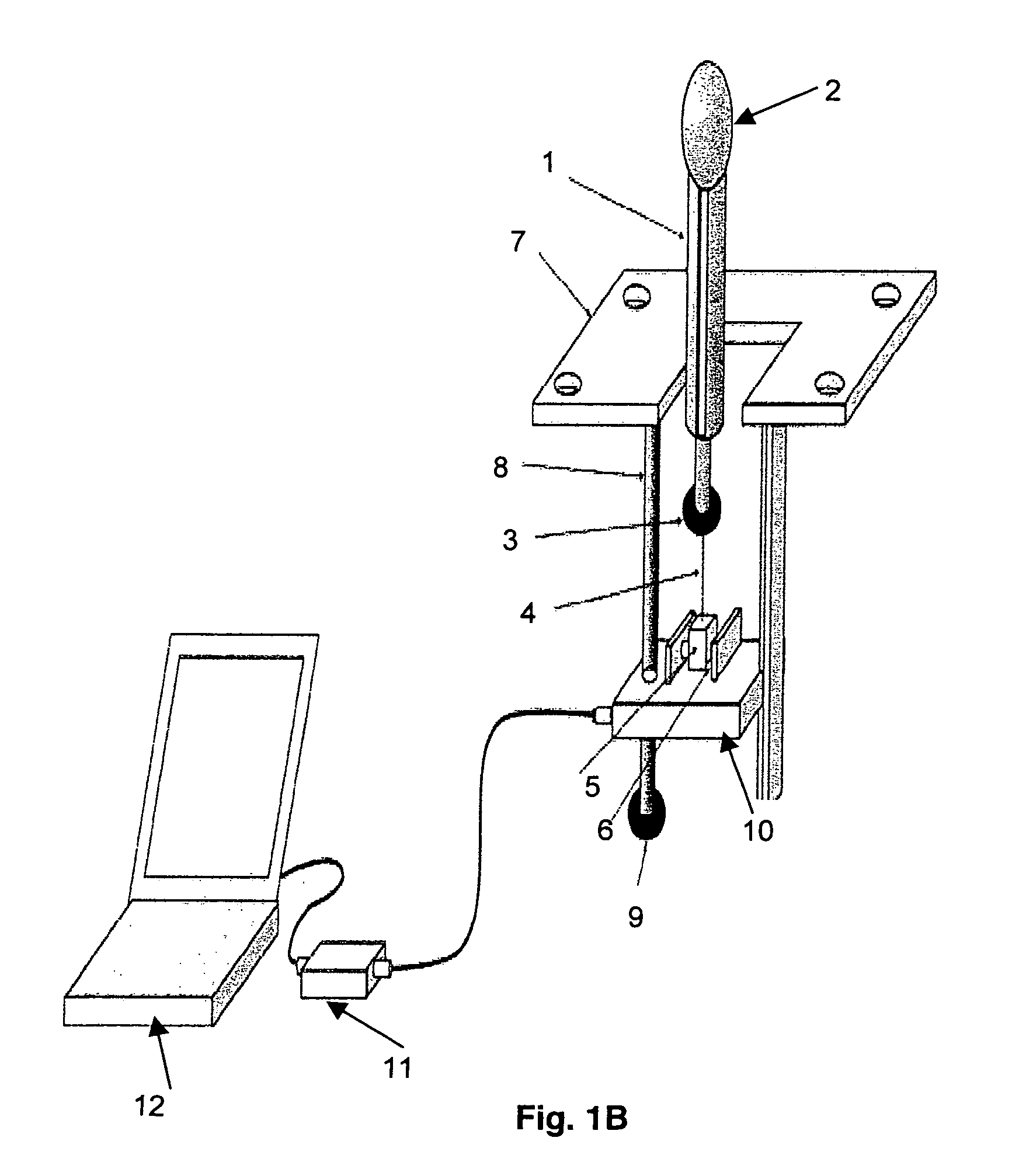 Pelvic floor function diagnostic and therapeutic station and uses thereof