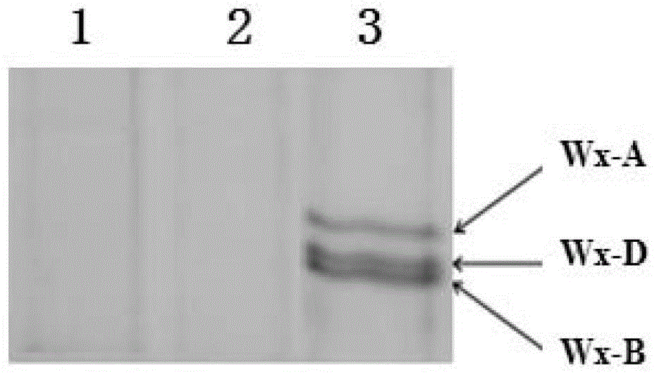 New method for formulation of full waxy starch wheat germplasm