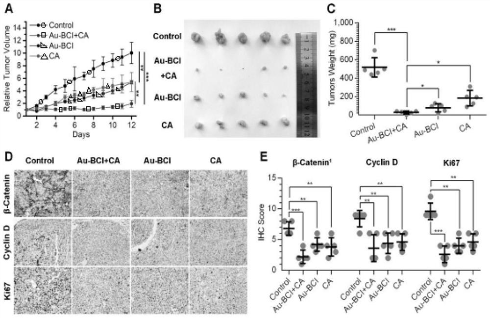 Polypeptide specifically combined with beta-catenin protein with high affinity, and application and synthesis method of polypeptide