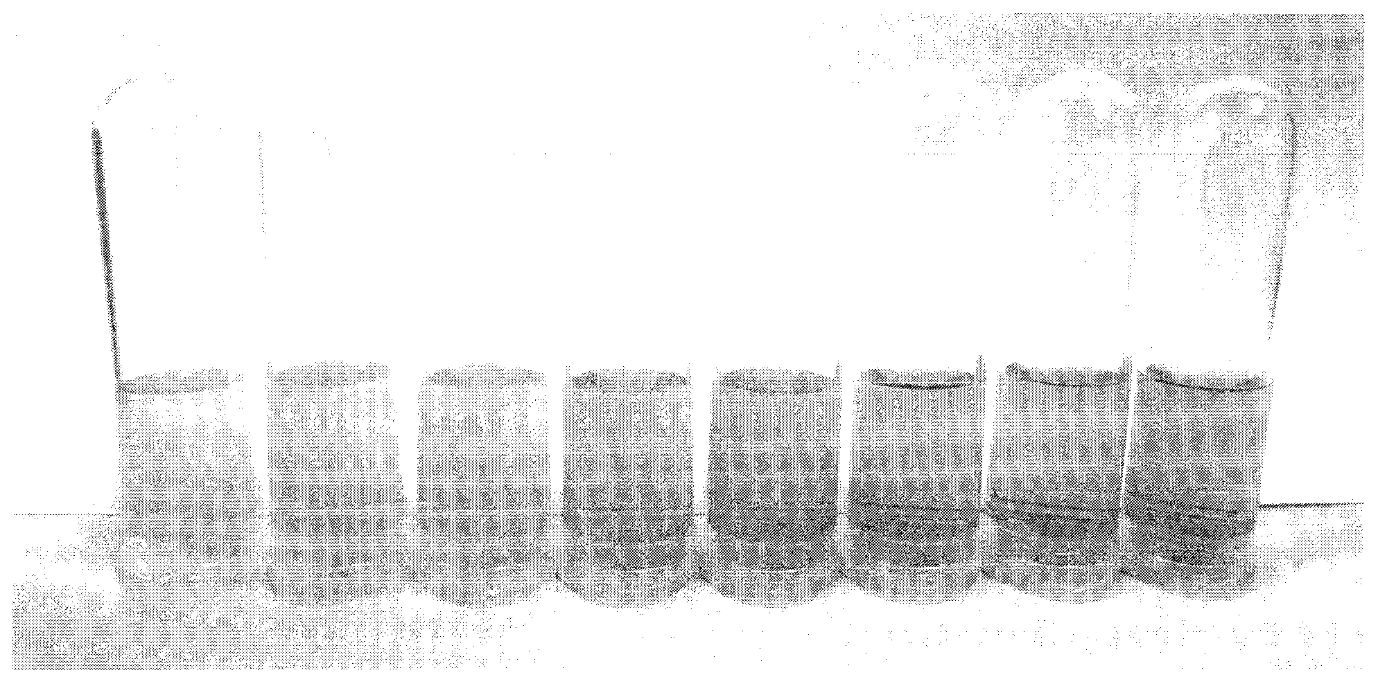 Method for visually and rapidly detecting chromium ions by using nanometer silver compound probe