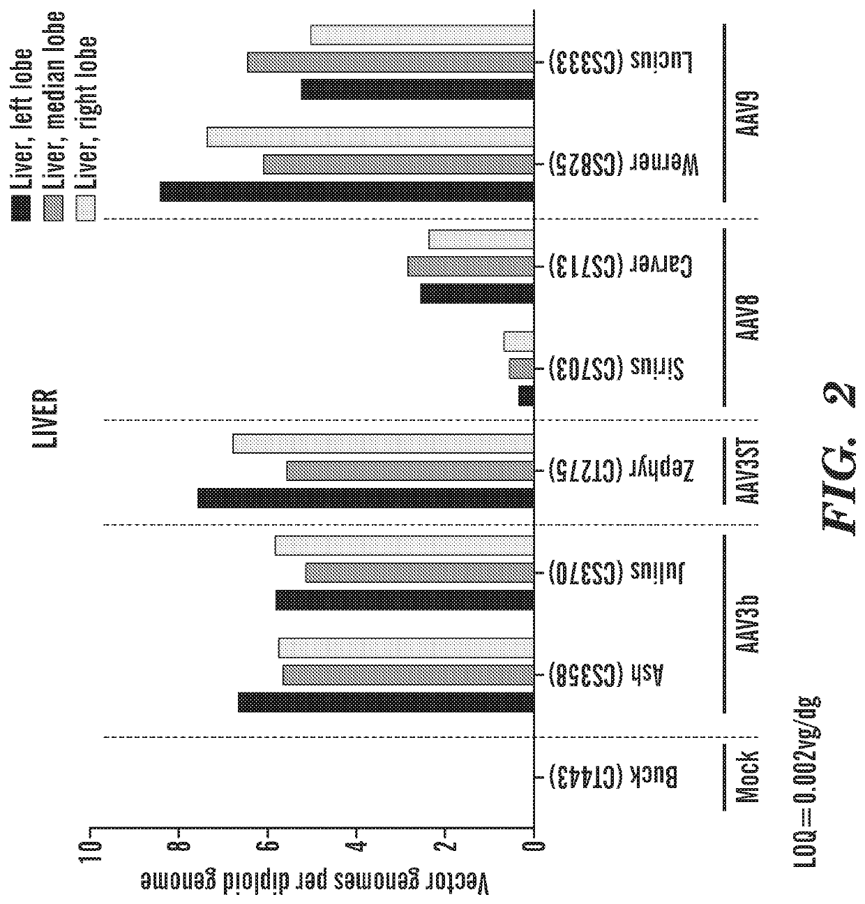 Vectors comprising a nucleic acid encoding lysosomal enzymes fused to a lysosomal teargeting sequence