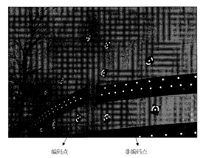 Precise identification and position method of robust coding point in image under complex background