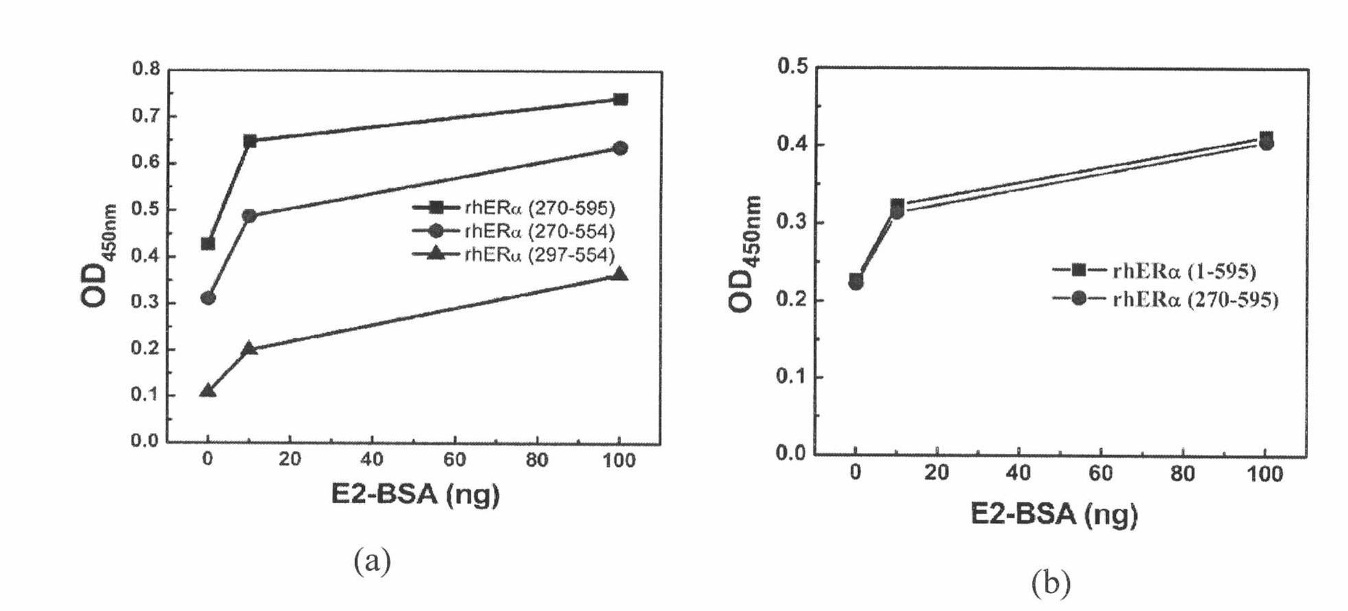 Recombined human estrogen Alpha receptor ligand binding domain protein as well as preparation and application thereof