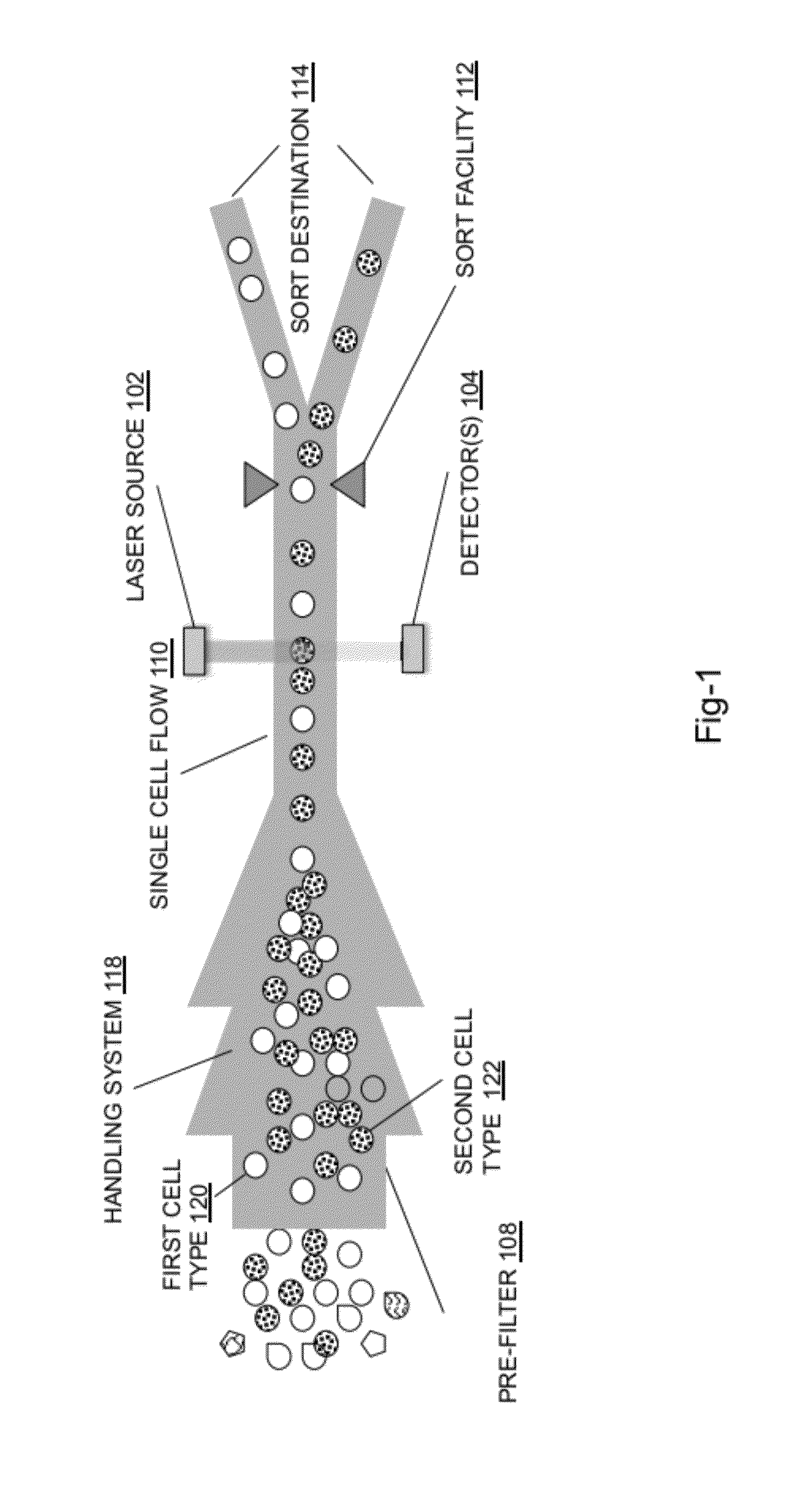 System for identifying and sorting living cells