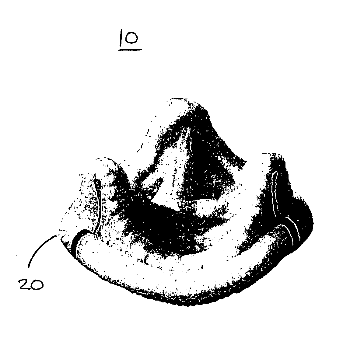 Prosthetic heart valves