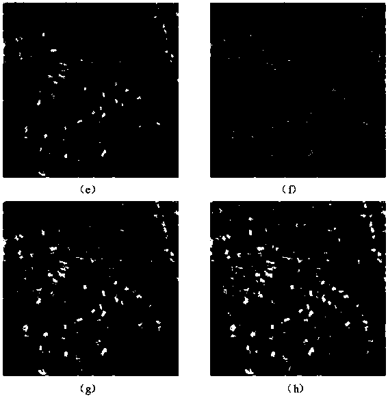 Panchromatic image sharpening method based on low-rank decomposition of directional multi-scale group