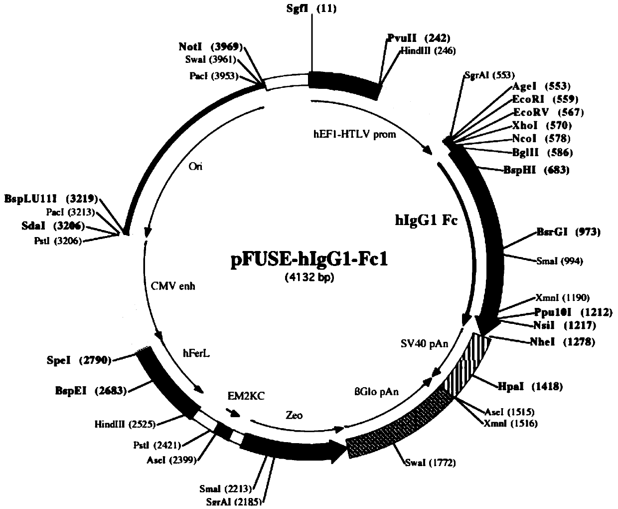 Application of polypeptide for preparing medicine for treating Alzheimer disease