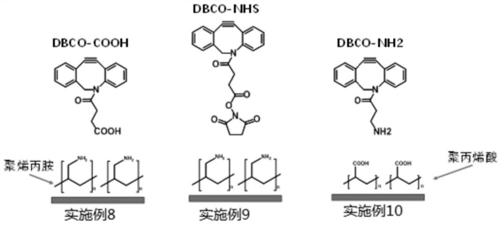 Efficient anticoagulant functional molecule, chelate, application of chelate, bionic functional material and preparation method of bionic functional material