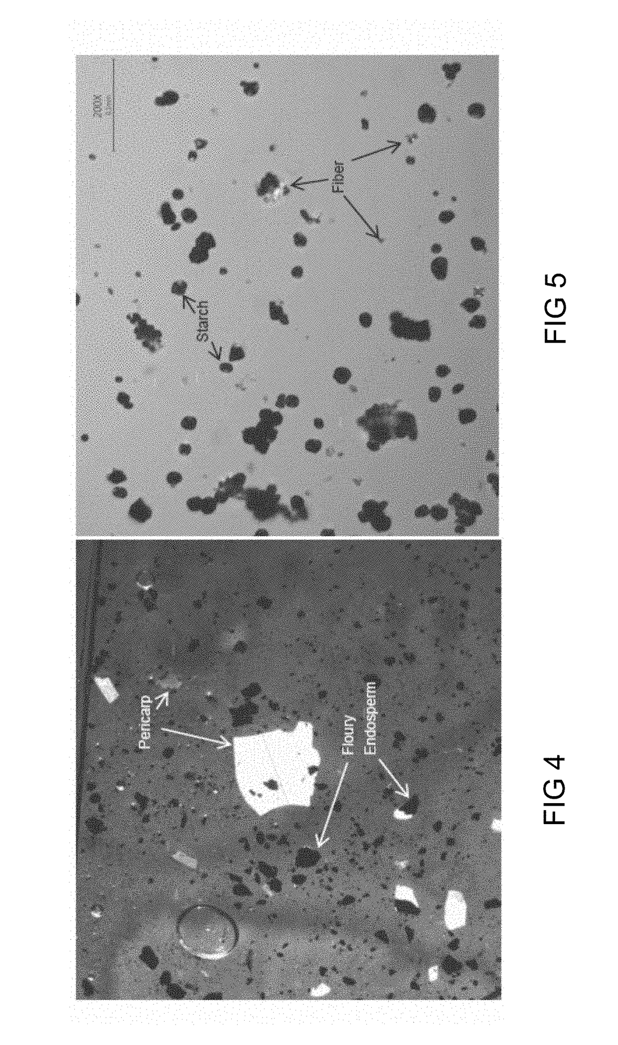 Processes for Recovering Products from a Corn Fermentation Mash