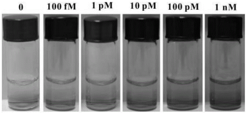17beta-estradiol visualization detection method based on DNA nano-structure, and 17beta-estradiol visualization detection kit based on DNA nano-structure