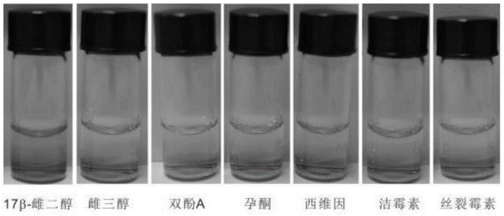 17beta-estradiol visualization detection method based on DNA nano-structure, and 17beta-estradiol visualization detection kit based on DNA nano-structure