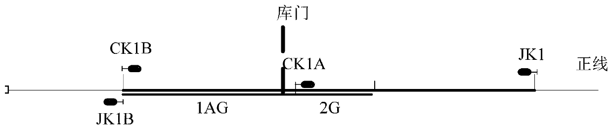 Garage door protection method suitable for FAO system