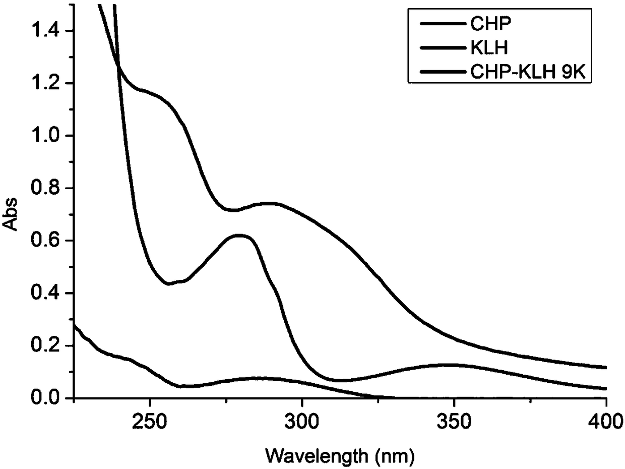 Hybridoma cell line capable of secreting CHP (cyproheptadine) monoclonal antibody and preparation method