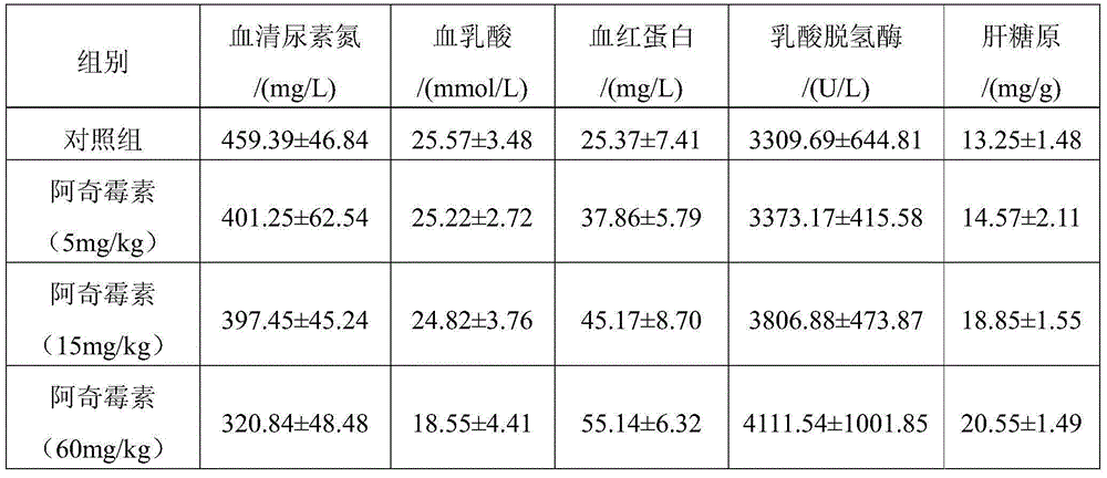 Application of azithromycin in preparing anti-fatigue and anti-disease drug