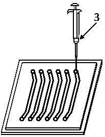 A rapid test method for aflatoxin b1 based on a smart phone detection system