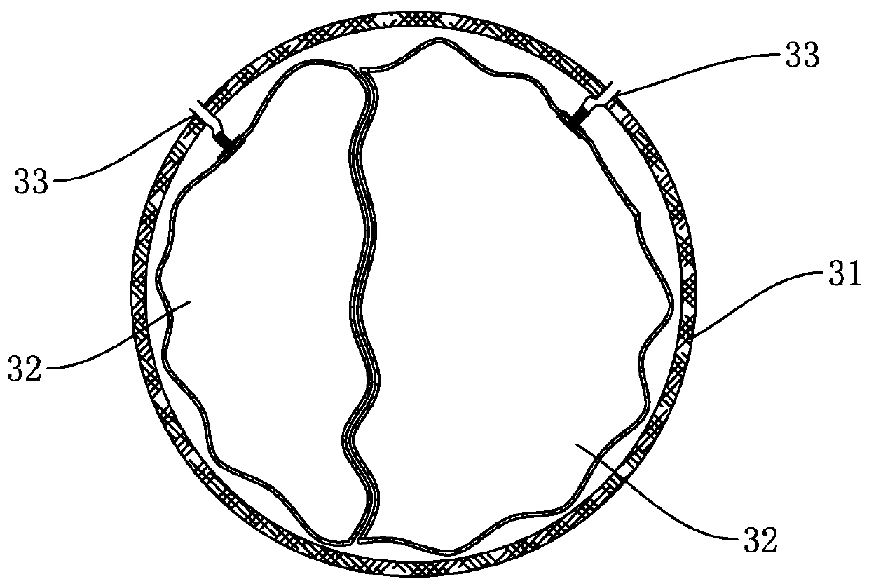 A sealing gas nozzle and an air bag using the gas nozzle