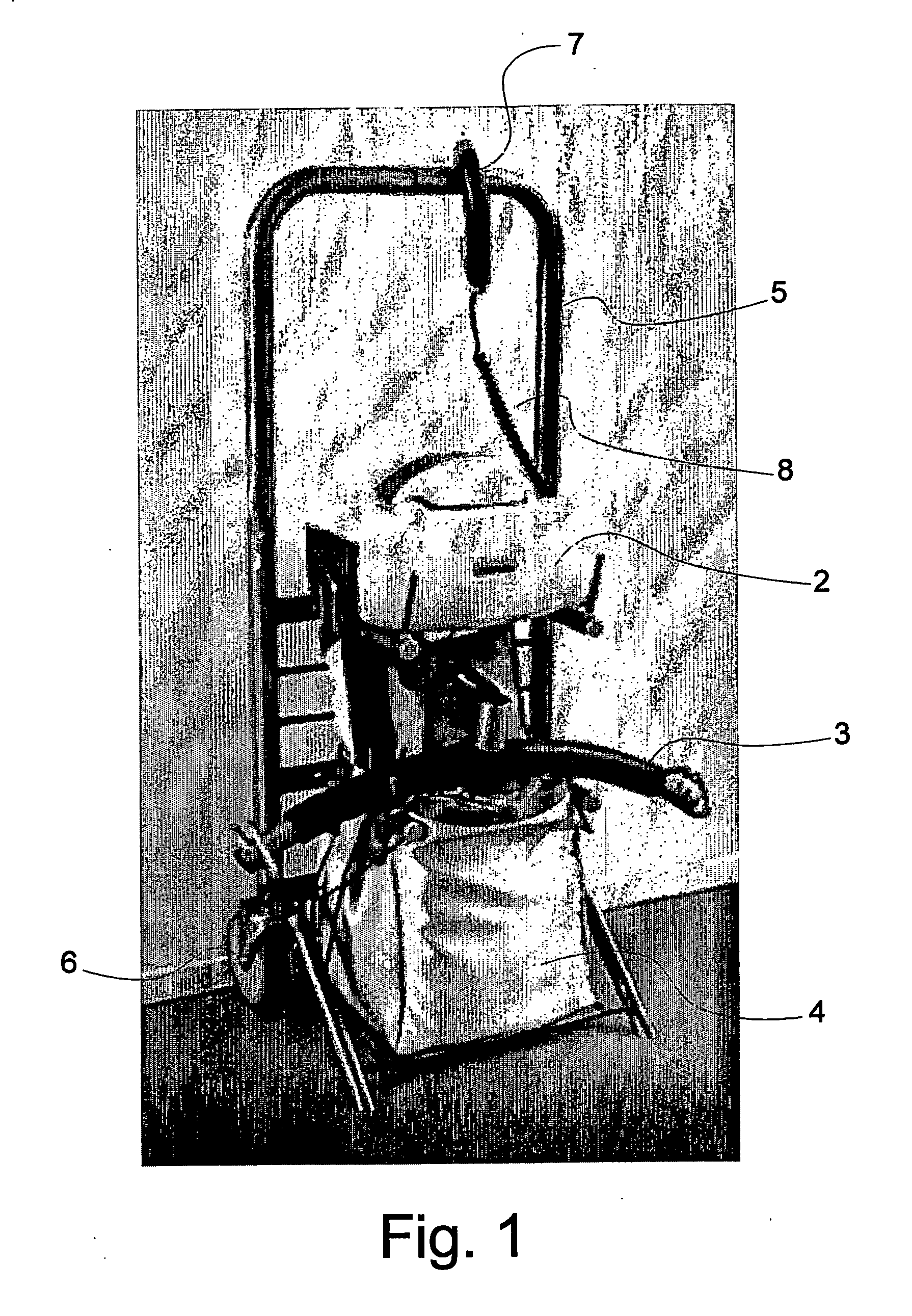 Hoisting device