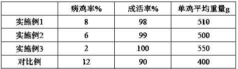 Method for raising survival rate of chicklings of black-bone chicken