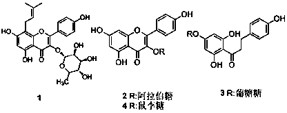 Suisi crabapple extract and active compound, preparation method and application