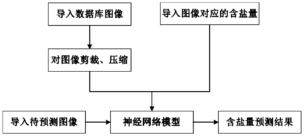 Salinized soil salt content estimation method based on surface image