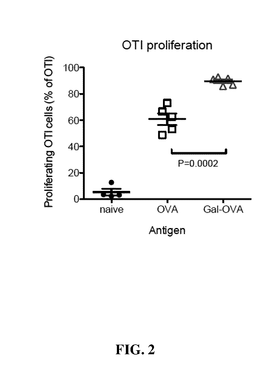 Glycotargeting therapeutics