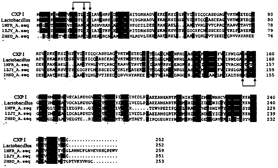 Preparation method of (2S,3S)-2-hydroxy-4-phenylbutane derivative