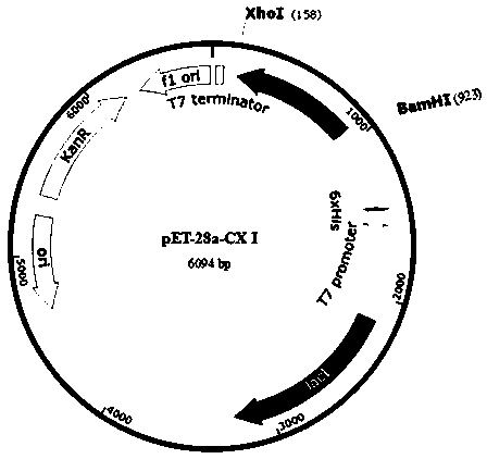 Preparation method of (2S,3S)-2-hydroxy-4-phenylbutane derivative