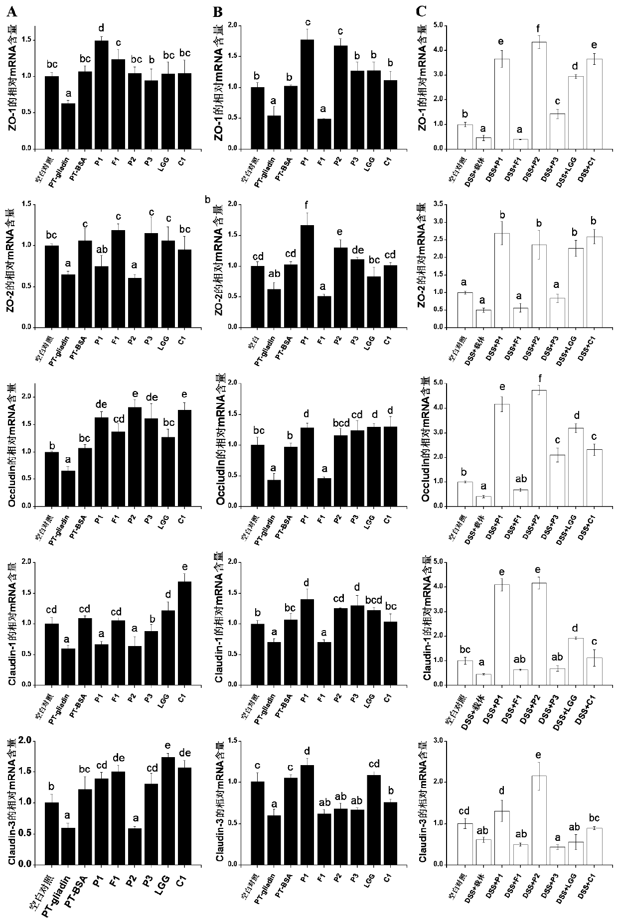 A method for screening probiotics with the function of enhancing intestinal cell tight junction at the cellular level