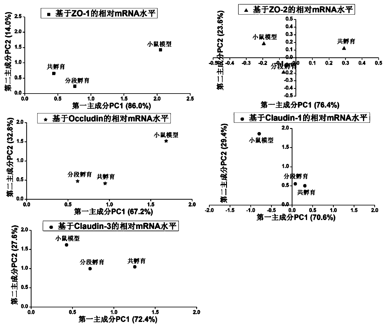 A method for screening probiotics with the function of enhancing intestinal cell tight junction at the cellular level