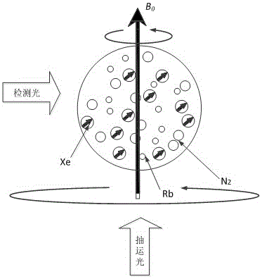 An integrated system of coherent layout trapped atomic clock and nuclear magnetic resonance atomic gyroscope