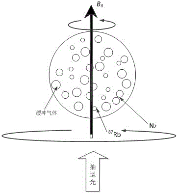 An integrated system of coherent layout trapped atomic clock and nuclear magnetic resonance atomic gyroscope