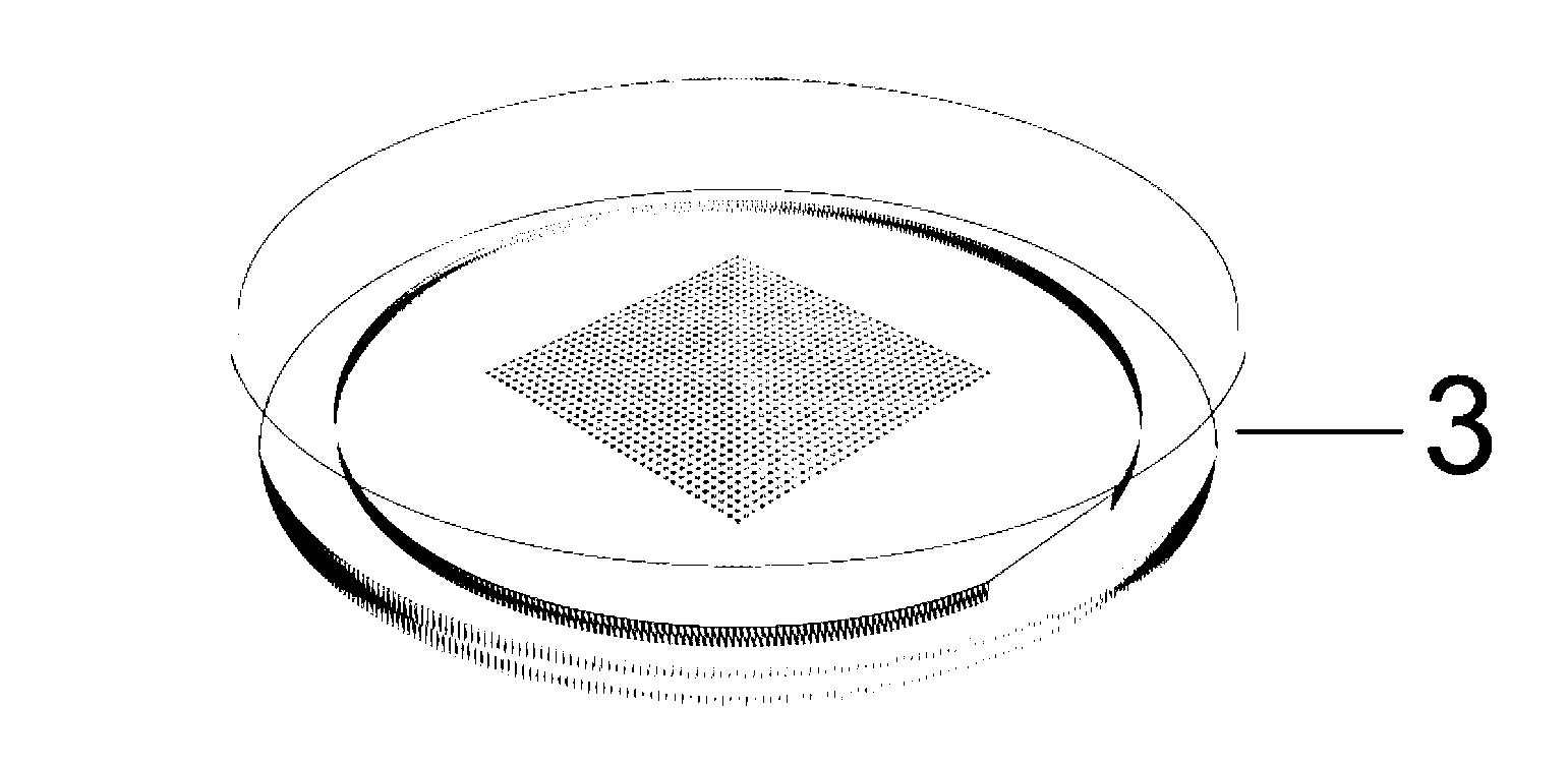 Method for manufacturing polydimethylsiloxane (PDMS) film with integrated microstructure