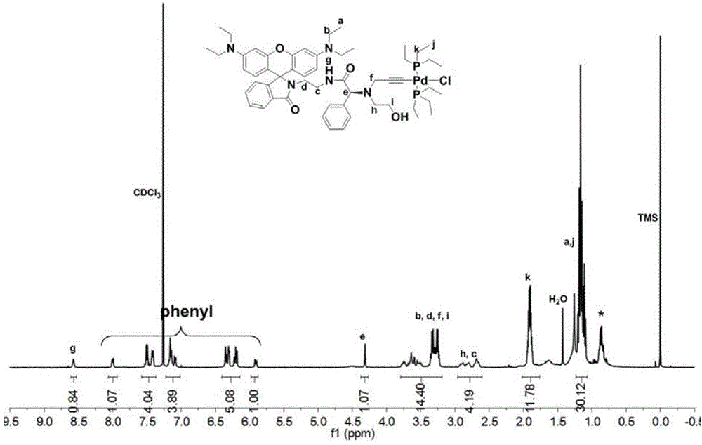 Chiral fluorescence self-sorting polymerization bifunctional initiator, and preparation method and application thereof