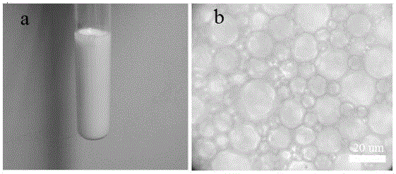 Method for preparing porous difunctional adsorption material